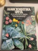 Διακοσμητικά φυτά για το σπίτι και το γραφείο