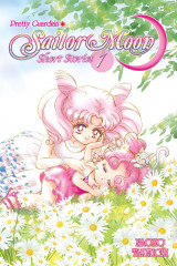 Pretty Guardian Sailor Moon Short Stories