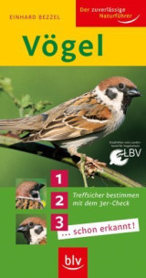Vögel: Treffsicher bestimmen mit dem 3er-Check