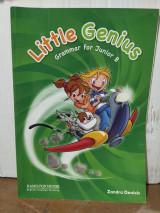 Little Genius Grammar for Junior B