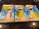 1Q84 books 1, 2, 3