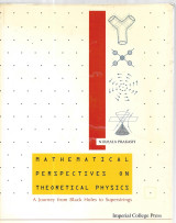 Mathematical Perspectives on Theoretical Physics