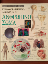 Ανθρώπινο Σώμα