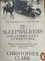The sleepwalkers
