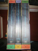 The Norton Anthology of American Literature (volumes 3,4,5)