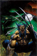 Hulk/Wolverine