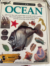 Ocean