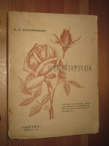 Η τριανταφυλλια . Α.ν.Χαντζηνικολαου 1930