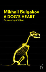A dog's heart