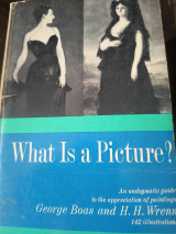 What is a picture?