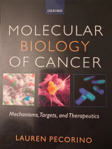 Molecular Biology of Cancer
