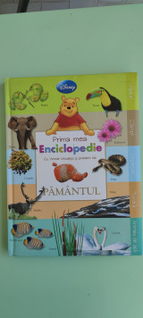 Pământul