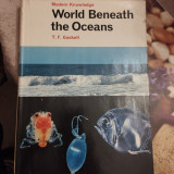 World Beneath the Oceans