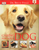 Caring for Your Dog