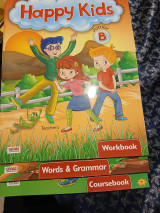 Happy Kids Junior B Teacher's 3 books