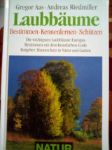 Laubbaume