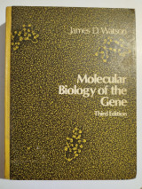 Molecular Biology of the Gene