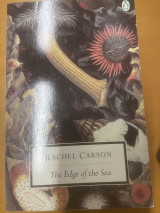 The edge of the sea