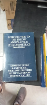 Introduction to the Theory and Practice of Econometrics