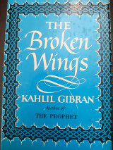 The Broken Wings