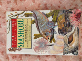 Collins Pocket Guide sea shore of Britain and Europe