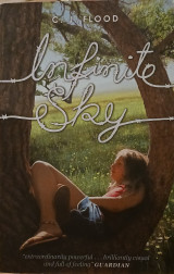 Infinity sky