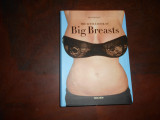 Big breasts