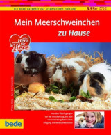 Mein Meerschweinchen zu Hause