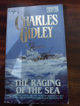 The raging sea