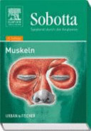 Spielend durch die Anatomie. 2. Muskeln