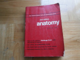Anatomy