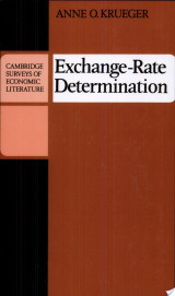 Exchange-Rate Determination