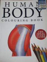 Human Body Colouring Book
