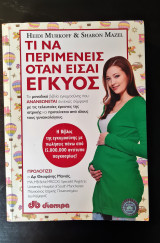 Τι να περιμένεις όταν είσαι έγκυος