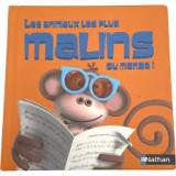 Les animaux les plus malins du monde!