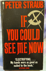If You Could See Me Now