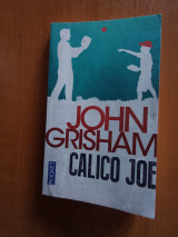 Calico Joe