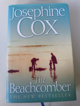 The beachcomber