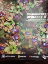 Εκθαμβωτικές ορχιδέες 2