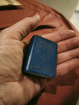 The little Webster A lilliput dictionary