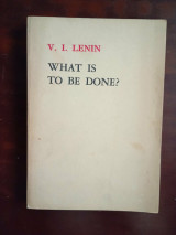What Is To Be Done? Burning Questions Of Our Movement