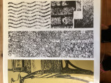 Ein Dokument Deutscher Kunst.(1851-;1914) band 2