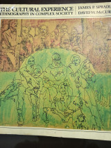 The cultural experience ethnography in complex society