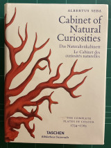 Cabinet of natural curiosities