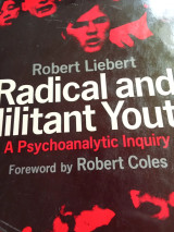 Radical and militant youth