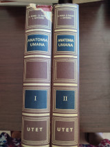 Trattato di Anatomia Umana