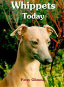 Whippets Today