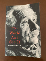 The world as I see it