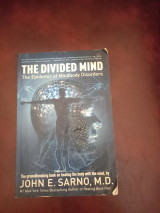 The divided mind the epidemic of mindbody disorders
