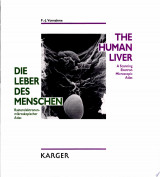 Die Leber Des Menschen, the Human Liver